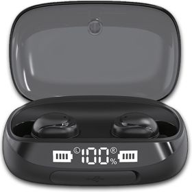 TWS True Bluetooth 5.0 Wireless Earbuds with 2000mAh Charging Case (Option: Black)